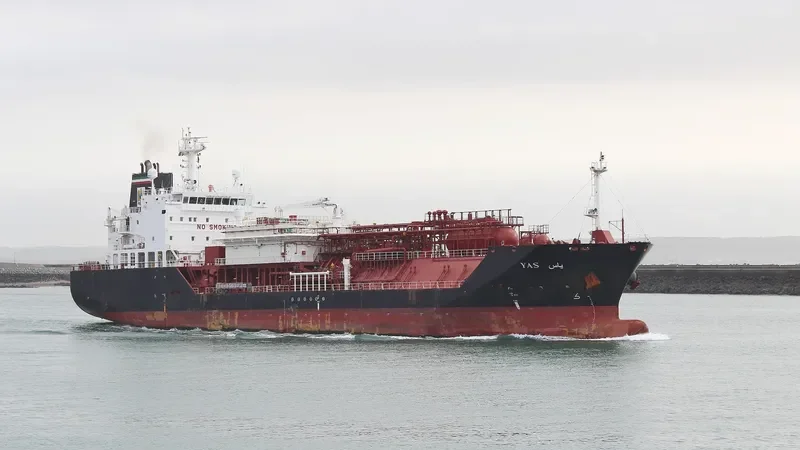 YAS General Cargo IMO 9678989 photo 2