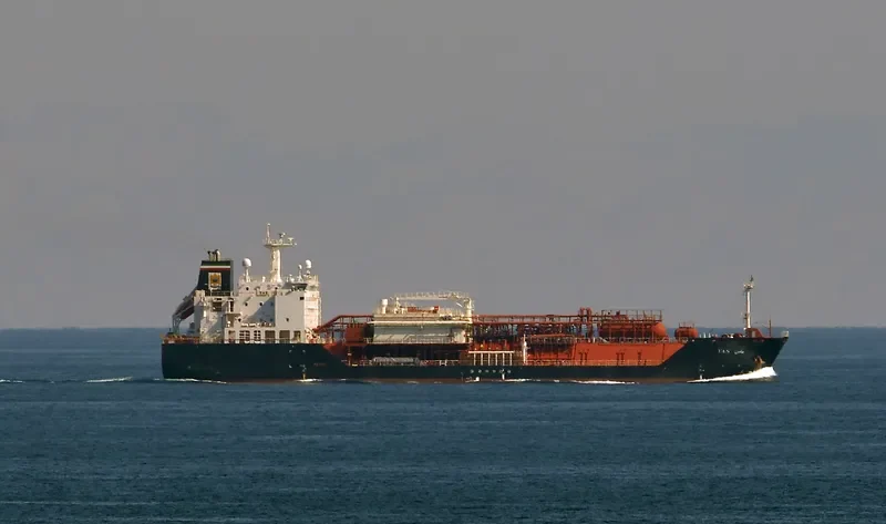 YAS General Cargo IMO 9678989 photo 4