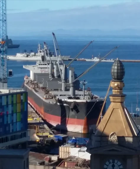 SAGAR KANYA Bulk Carrier IMO 9679139