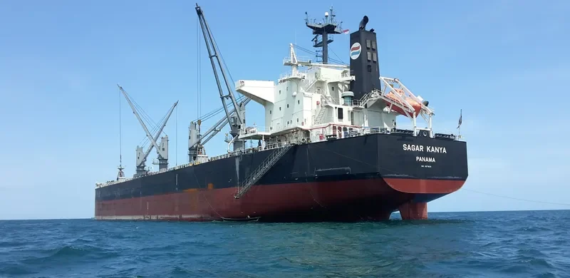 SAGAR KANYA Bulk Carrier IMO 9679139 photo 3