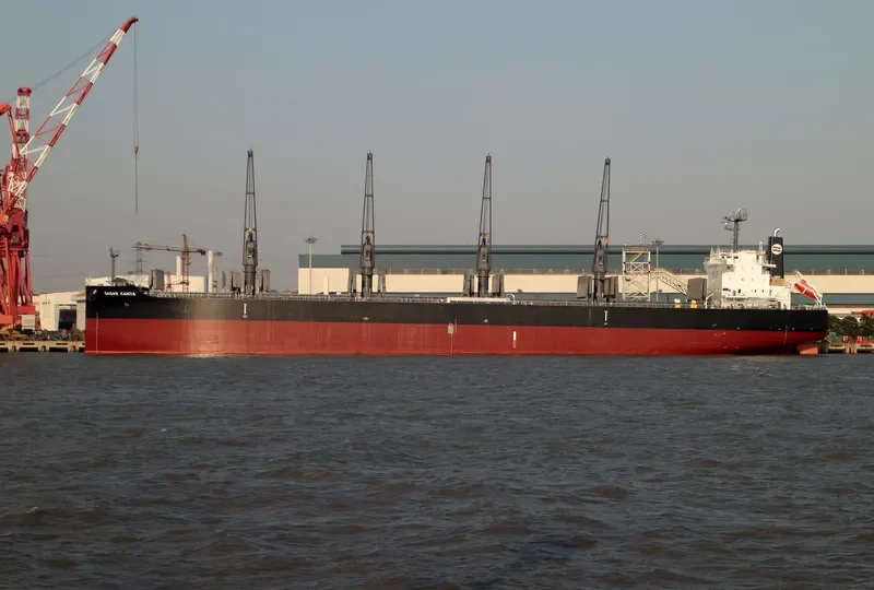 SAGAR KANYA Bulk Carrier IMO 9679139 photo 5