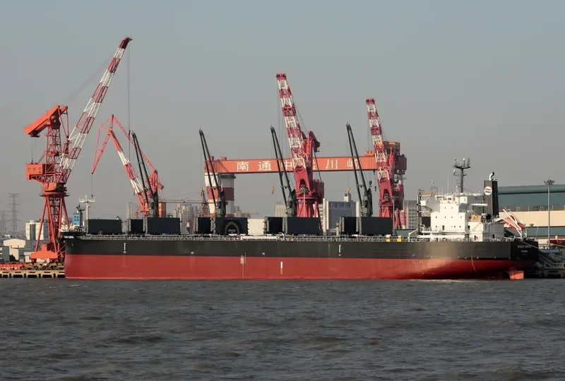 SAGAR KANYA Bulk Carrier IMO 9679139 photo 6