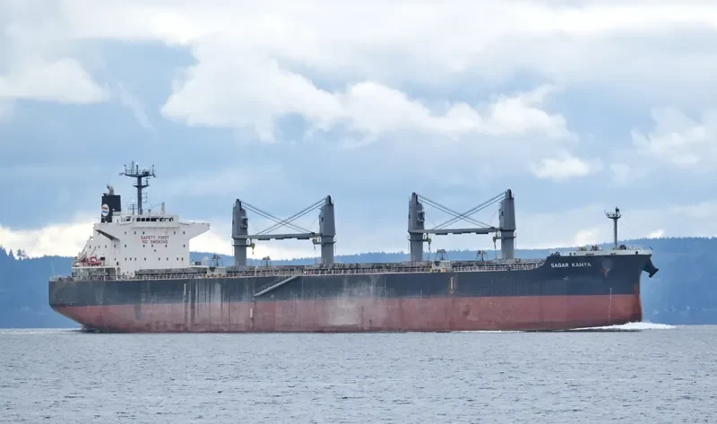 SAGAR KANYA Bulk Carrier IMO 9679139 photo 7