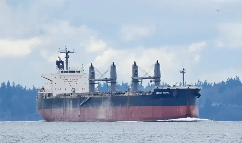 SAGAR KANYA Bulk Carrier IMO 9679139 photo 8