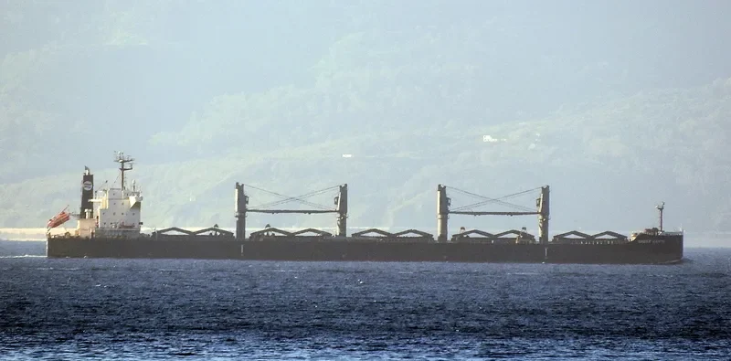 SAGAR KANYA Bulk Carrier IMO 9679139 photo 10