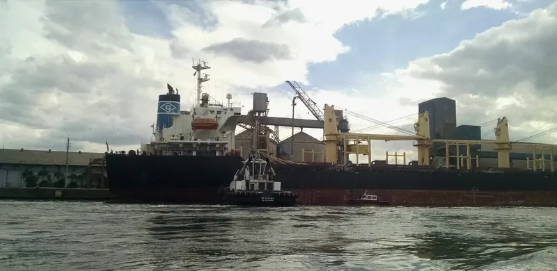 WS PHOENIX General Cargo IMO 9679141