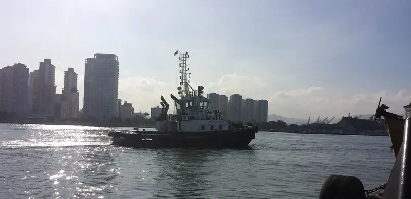 WS PEGASUS General Cargo IMO 9679177