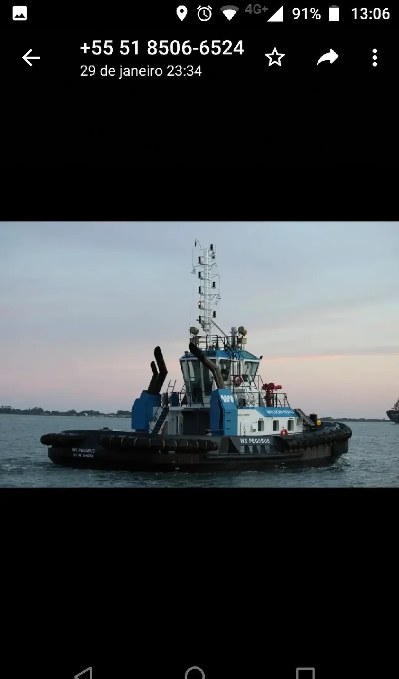 WS PEGASUS General Cargo IMO 9679177 photo 4