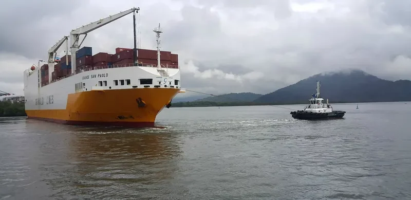 WS GEMINI General Cargo IMO 9679206
