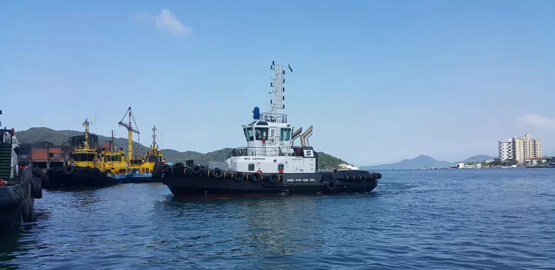 WS GEMINI General Cargo IMO 9679206 photo 3