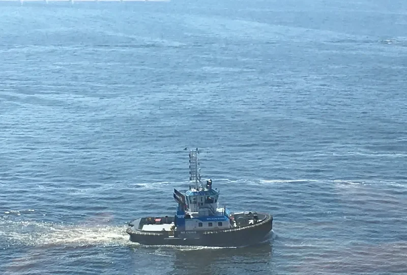 WS CYGNUS General Cargo IMO 9679218 photo 3