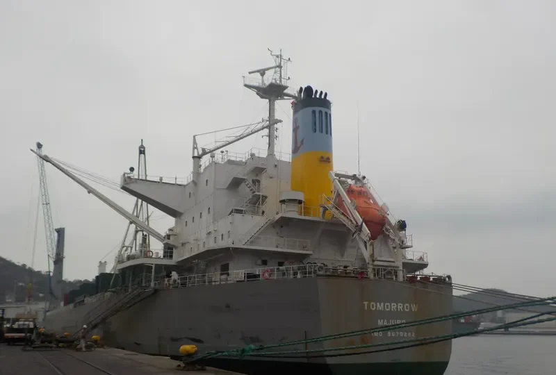 TOMORROW Bulk Carrier IMO 9679282