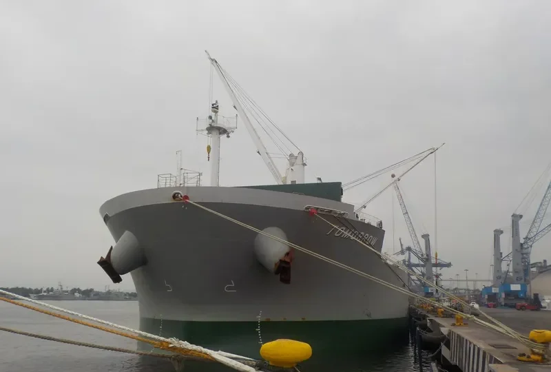 TOMORROW Bulk Carrier IMO 9679282 photo 2