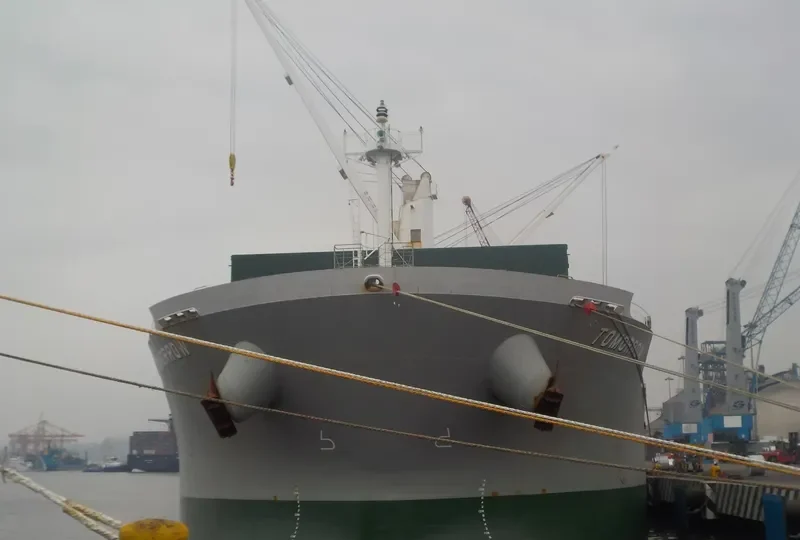 TOMORROW Bulk Carrier IMO 9679282 photo 3