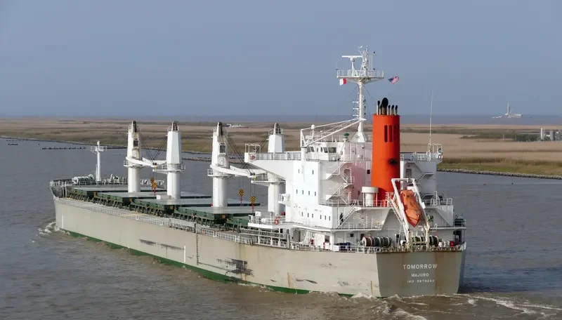 TOMORROW Bulk Carrier IMO 9679282 photo 4