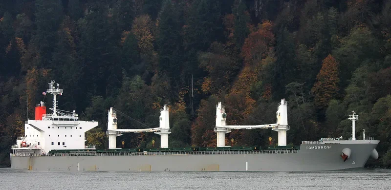 TOMORROW Bulk Carrier IMO 9679282 photo 7