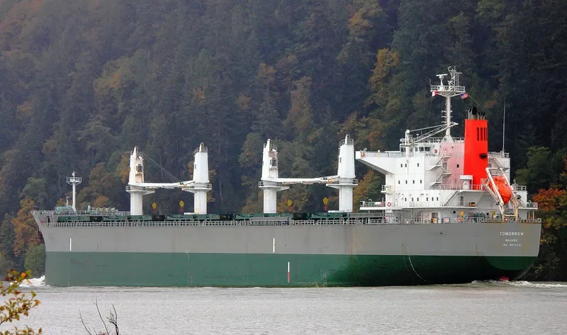 TOMORROW Bulk Carrier IMO 9679282 photo 8