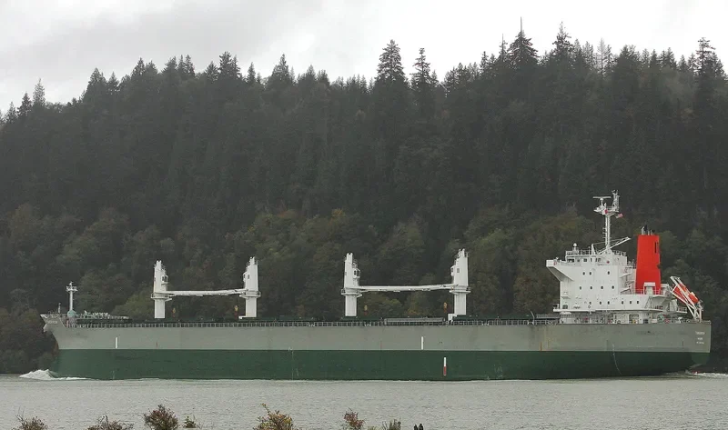 TOMORROW Bulk Carrier IMO 9679282 photo 9