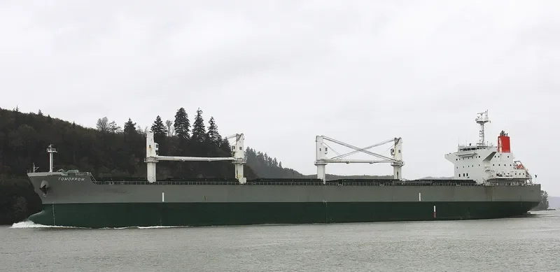 TOMORROW Bulk Carrier IMO 9679282 photo 10