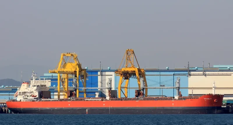 STONEWELL PIONEER Bulk Carrier IMO 9679385