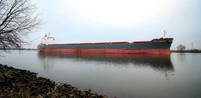 CSK LONGEVITY Bulk Carrier IMO 9679799