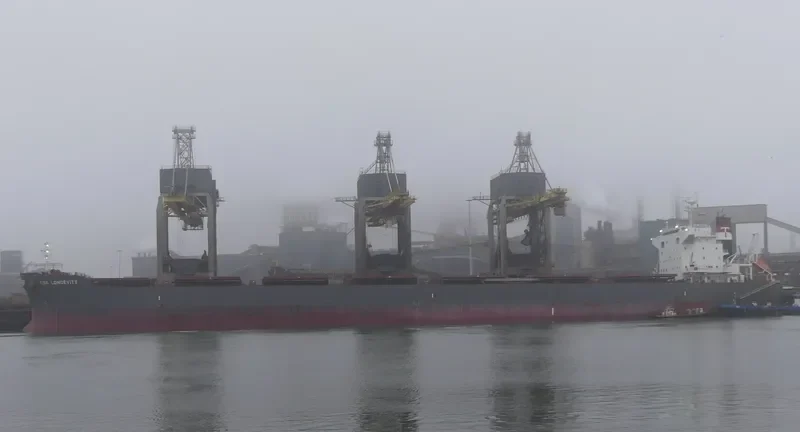 CSK LONGEVITY Bulk Carrier IMO 9679799 photo 2