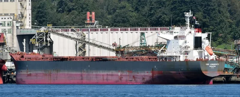 CSK LONGEVITY Bulk Carrier IMO 9679799 photo 3