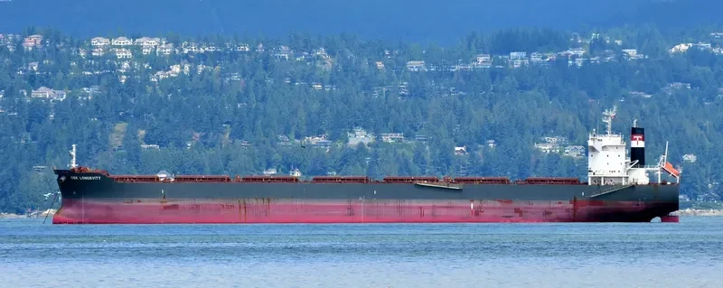CSK LONGEVITY Bulk Carrier IMO 9679799 photo 4