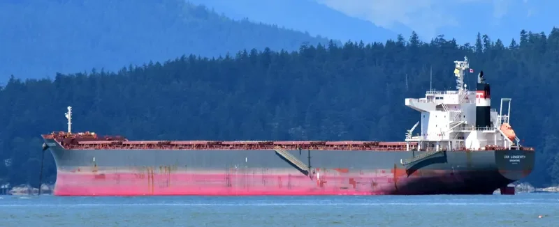 CSK LONGEVITY Bulk Carrier IMO 9679799 photo 5