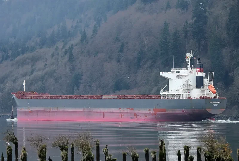 CSK LONGEVITY Bulk Carrier IMO 9679799 photo 6