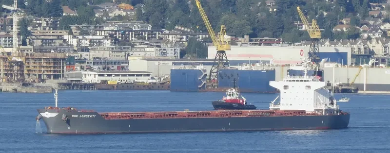 CSK LONGEVITY Bulk Carrier IMO 9679799 photo 8