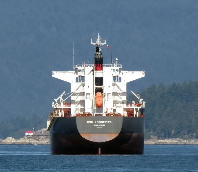 CSK LONGEVITY Bulk Carrier IMO 9679799 photo 9