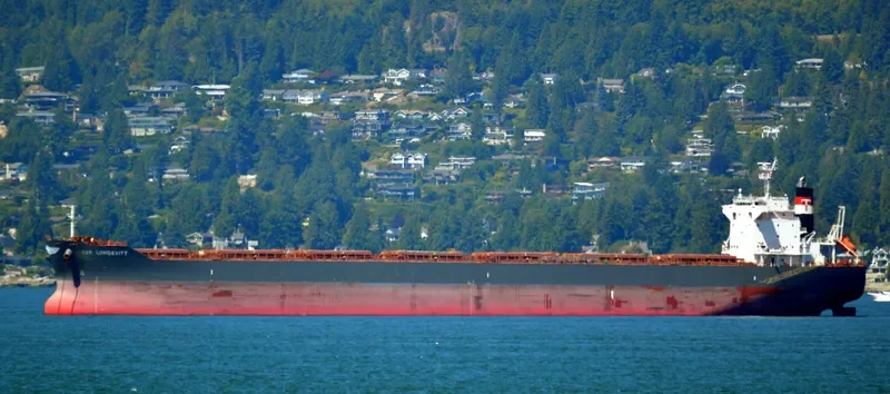 CSK LONGEVITY Bulk Carrier IMO 9679799 photo 10