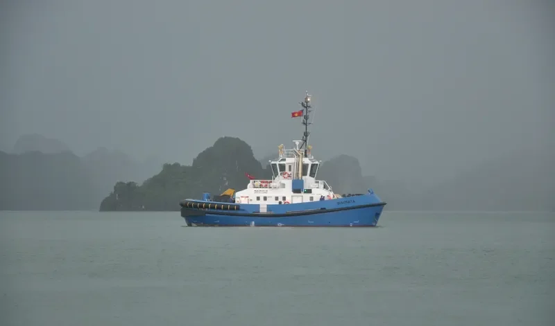 WAIMATA General Cargo IMO 9679816 photo 2