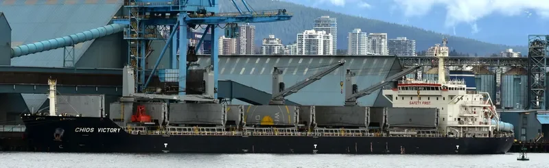 CHIOS VICTORY Bulk Carrier IMO 9680243 photo 2