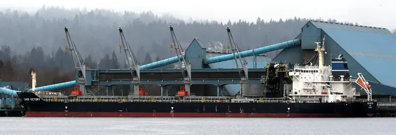 CHIOS VICTORY Bulk Carrier IMO 9680243 photo 3