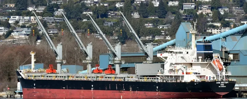 CHIOS VICTORY Bulk Carrier IMO 9680243 photo 5