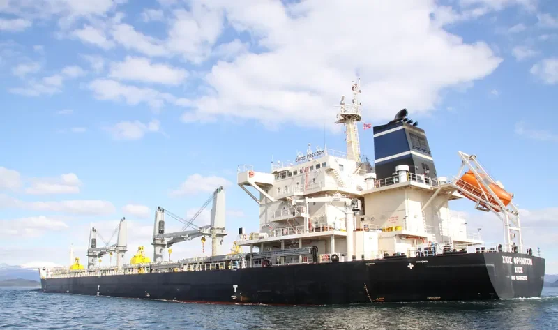 CHIOS FREEDOM Bulk Carrier IMO 9680255 photo 2