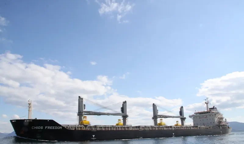 CHIOS FREEDOM Bulk Carrier IMO 9680255 photo 4