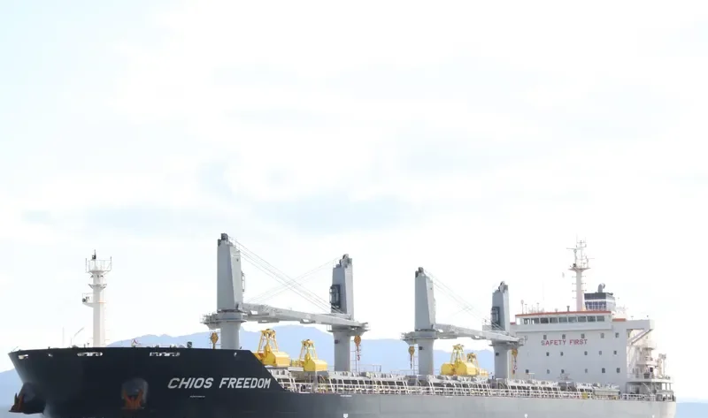 CHIOS FREEDOM Bulk Carrier IMO 9680255 photo 5