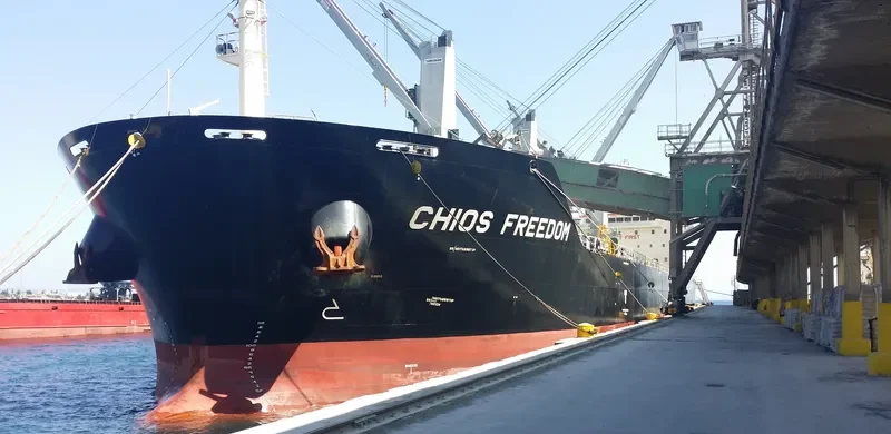 CHIOS FREEDOM Bulk Carrier IMO 9680255 photo 6