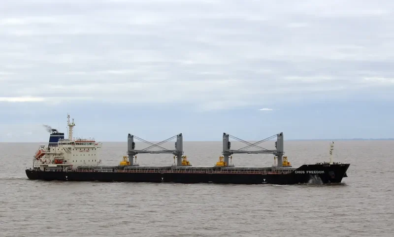 CHIOS FREEDOM Bulk Carrier IMO 9680255 photo 7