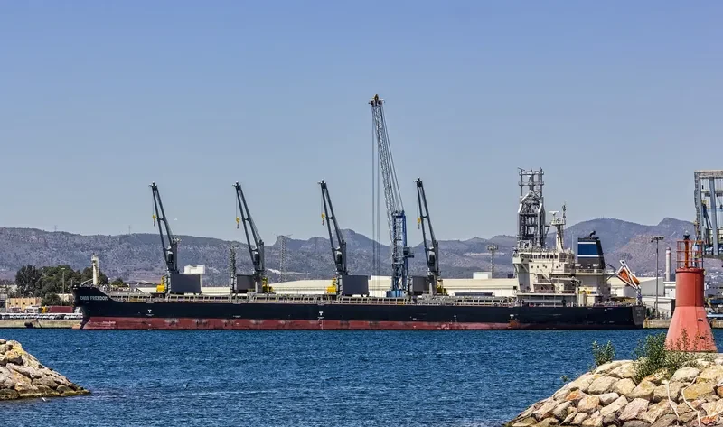 CHIOS FREEDOM Bulk Carrier IMO 9680255 photo 8