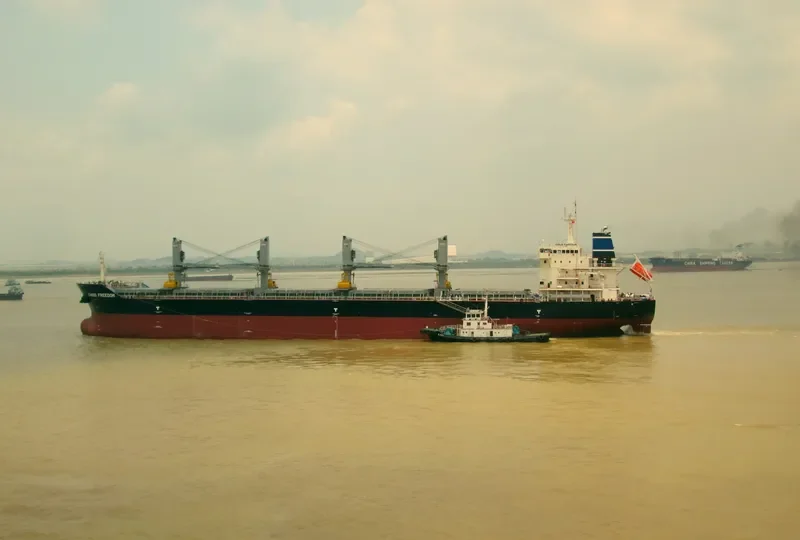 CHIOS FREEDOM Bulk Carrier IMO 9680255 photo 9