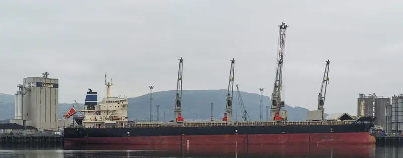 CHIOS FREEDOM Bulk Carrier IMO 9680255 photo 10