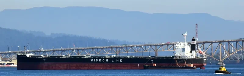 SAKIZAYA CHAMPION Bulk Carrier IMO 9680360 photo 3