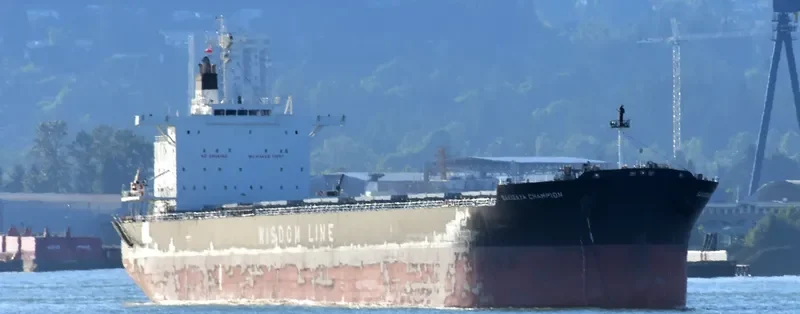 SAKIZAYA CHAMPION Bulk Carrier IMO 9680360 photo 4