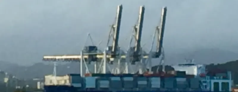 ISLA BELLA Container Ship IMO 9680841 photo 4