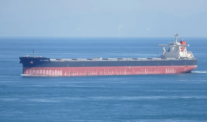 AZUL BRISA Bulk Carrier IMO 9681467 photo 2