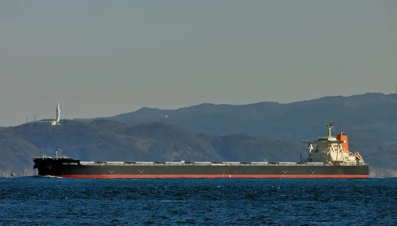 AZUL BRISA Bulk Carrier IMO 9681467 photo 3